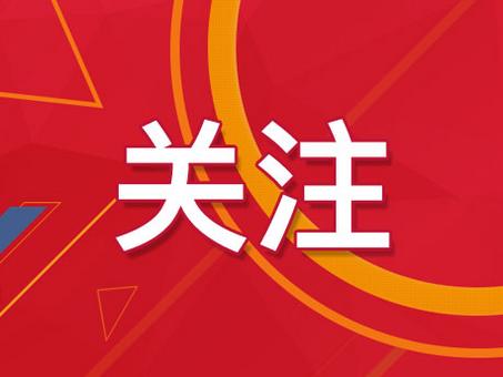 新澳门精准四肖期期准-精选资料解析大全