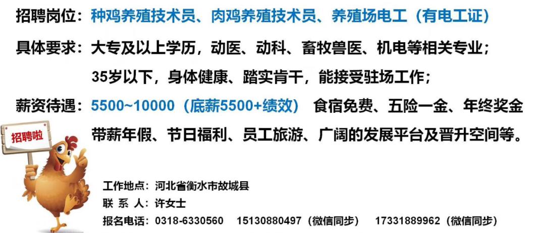 饲料人才网最新招聘信息及行业动态深度解析