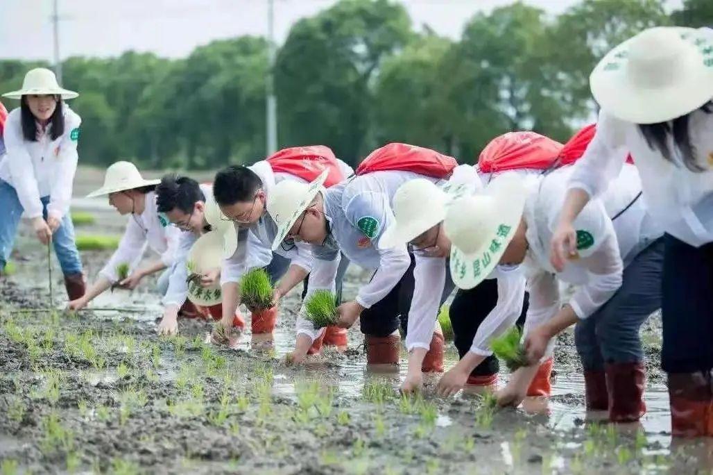 苏州昆山人才网最新招聘动态深度解析