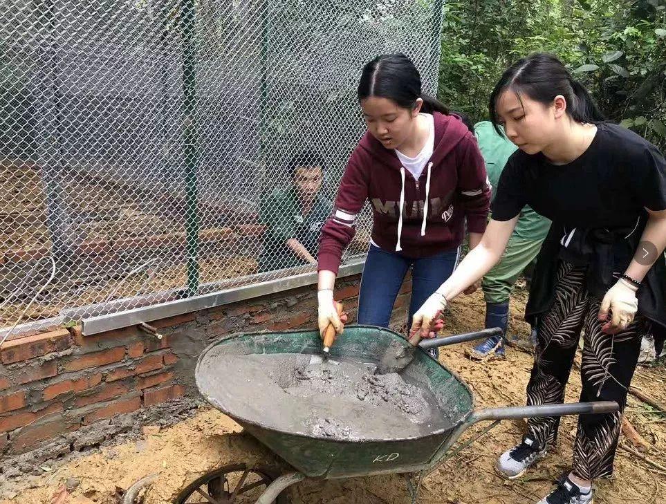 苏州雅思雅思培训中心，培育英语沟通能力的殿堂