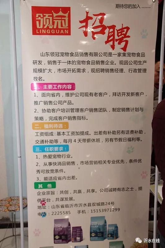 泗水官网人才招聘信息港——开启您的职业新篇章