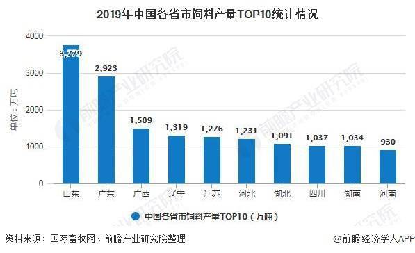 饲料人才招聘信息及行业趋势分析