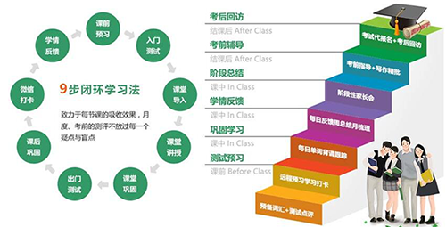 双流雅思留学培训排名，探寻最佳学习伙伴与提升留学之路